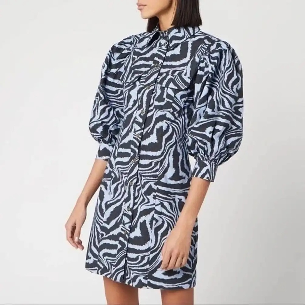 Ganni Zebra Dress